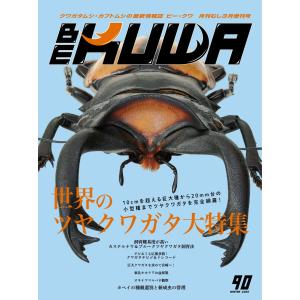 予約商品】Vジャンプ 2026年 10月号 特大号 付録付き : サンアンド