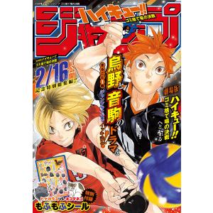 新品】【即納】【10周年 豪華アイテムセット】ハイキュー!! 10th