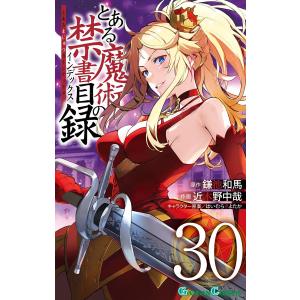 とある魔術の禁書目録 34/鎌池和馬/近木野中哉 : bookfanプレミアム