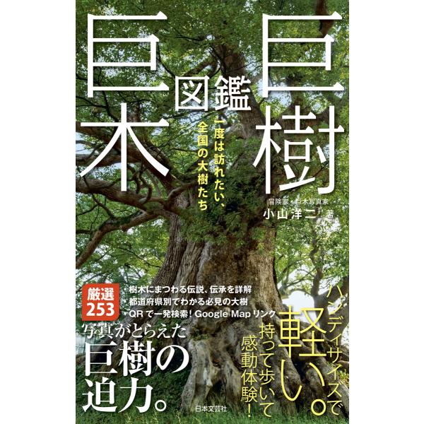 巨樹 巨木図鑑 電子書籍版 / 著:小山洋二