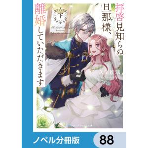 拝啓見知らぬ旦那様、離婚していただきます【ノベル分冊版】 88 電子書籍版 / 著者:久川航璃 イラスト:あいるむ｜ebookjapan