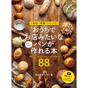メゾンカイザーのパンレシピ とっておきのパン&ヴィエノワーズリー95の