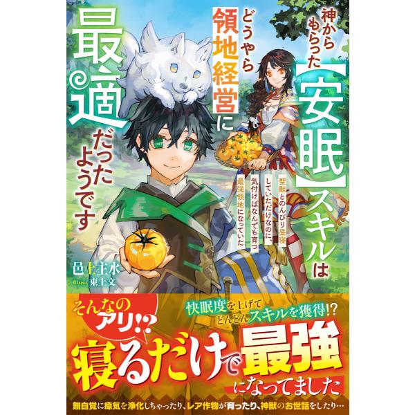 神からもらった【安眠】スキルはどうやら領地経営に最適だったようです〜聖獣とのんびり昼寝していただけな...