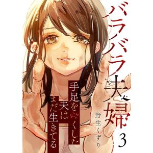 BASTARD!! 未使用・改訂版 萩原一至 /DBZH : りもったい 4号店 - 通販