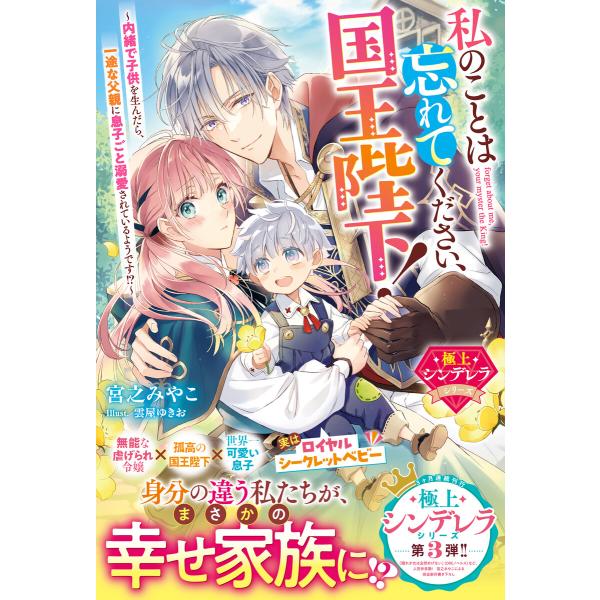 私のことは忘れてください、国王陛下!〜内緒で子供を生んだら、一途な父親に息子ごと溺愛されているようで...