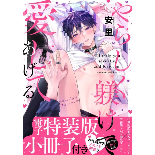 やらしく躾けて愛してあげる-Dom/Subユニバース-【単行本版/電子特装版小冊子付き】 (1) 電...