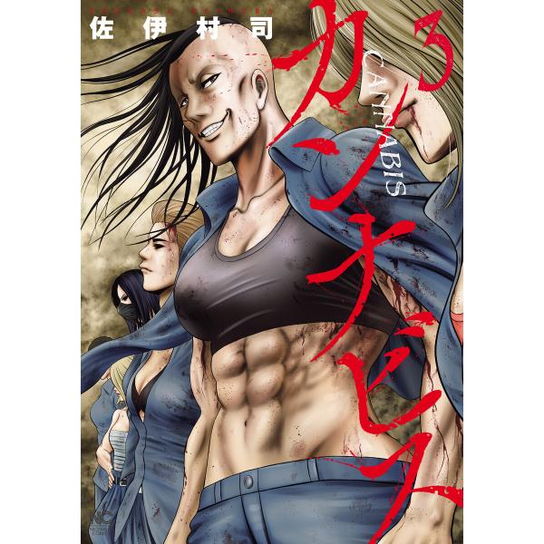 カンナビス 3 電子書籍版 / 著:佐伊村司