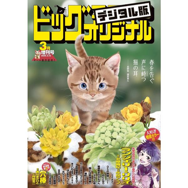 ビッグコミックオリジナル増刊 2025年3月増刊号(2025年2月12日発売) 電子書籍版
