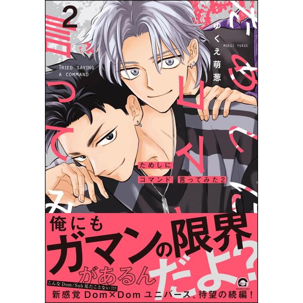 ためしにコマンド言ってみた (2) 【電子限定かきおろし漫画付】 電子書籍版 / ゆくえ萌葱