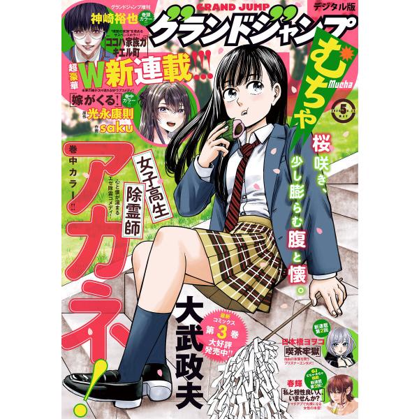 グランドジャンプ むちゃ 2025年5月号 電子書籍版 / グランドジャンプ編集部
