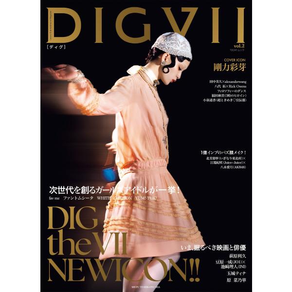 DIGVII vol.2 電子書籍版 / 主婦と生活社