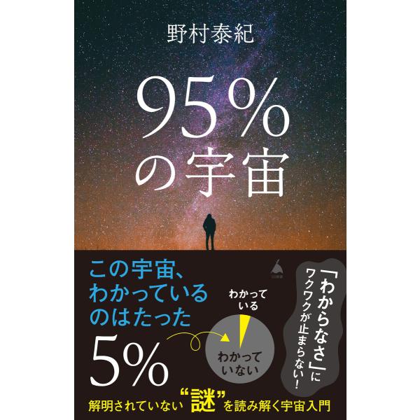 95%の宇宙 電子書籍版 / 野村泰紀