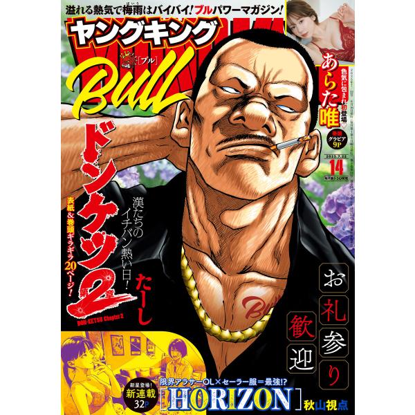 ヤングキングBULL 2025年14号 電子書籍版 / ヤングキングBULL編集部