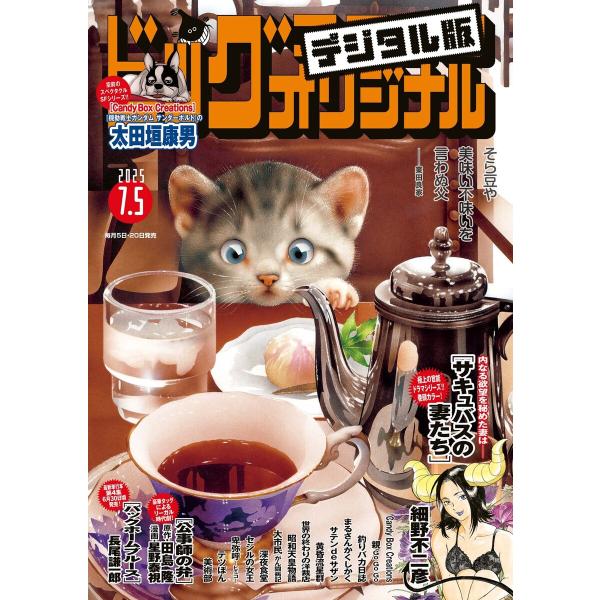 ビッグコミックオリジナル 2025年13号(2025年6月20日発売) 電子書籍版 / ビッグコミッ...