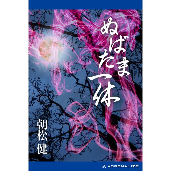 ぬばたま一休 電子書籍版 / 著:朝松健