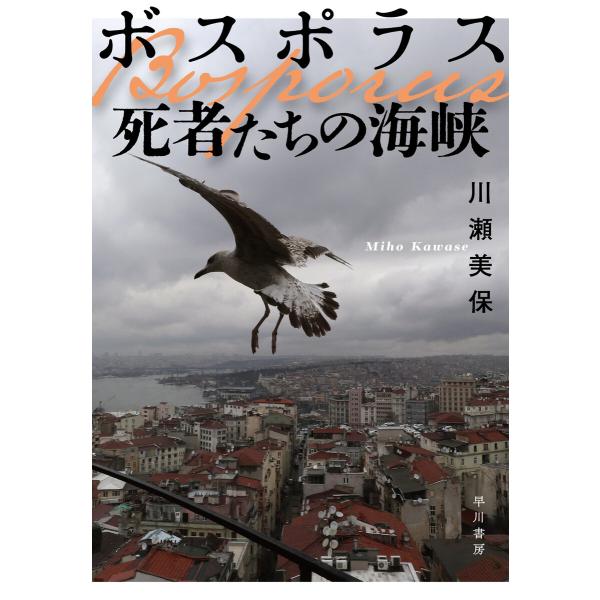 ボスポラス 死者たちの海峡 電子書籍版 / 川瀬美保(著)