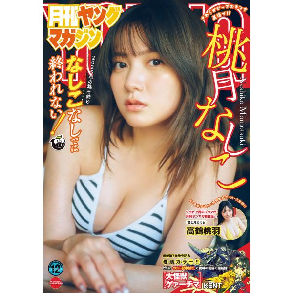 月刊ヤングマガジン 2025年No.12 [2025年11月18日発売] 電子書籍版