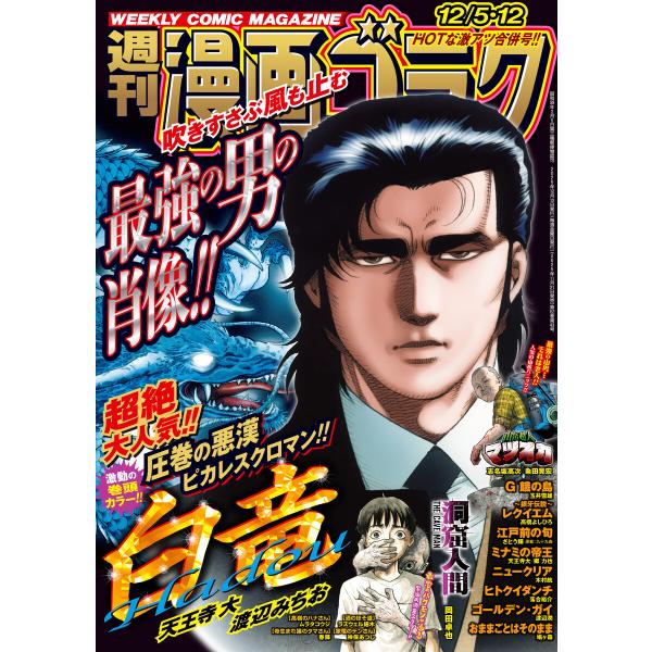 漫画ゴラク 2025年 12/5・12 号 電子書籍版 / 著:漫画ゴラク編集部