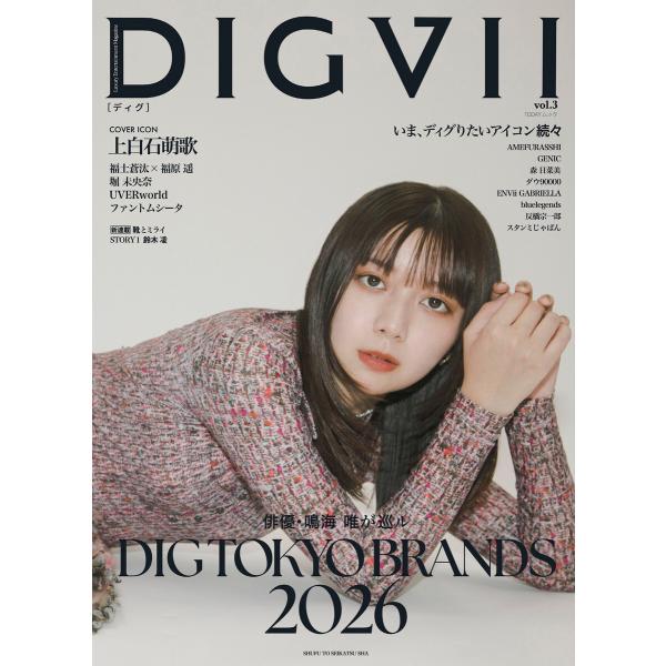 DIGVII vol.3 電子書籍版 / 主婦と生活社