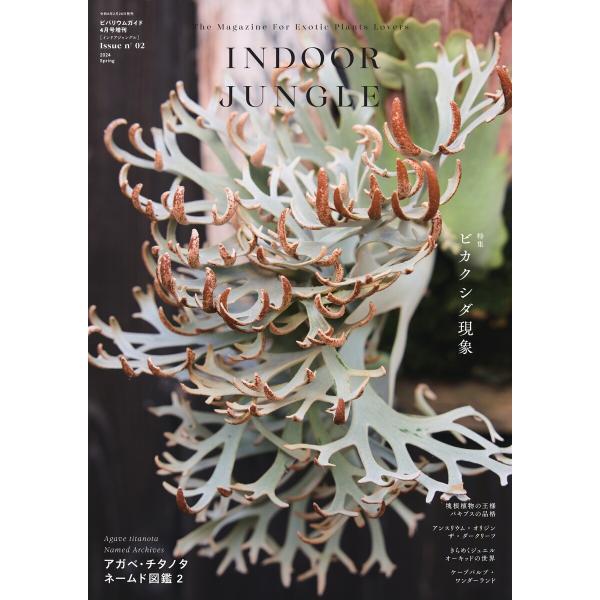 INDOOR JUNGLE No.02 電子書籍版 / INDOOR JUNGLE編集部