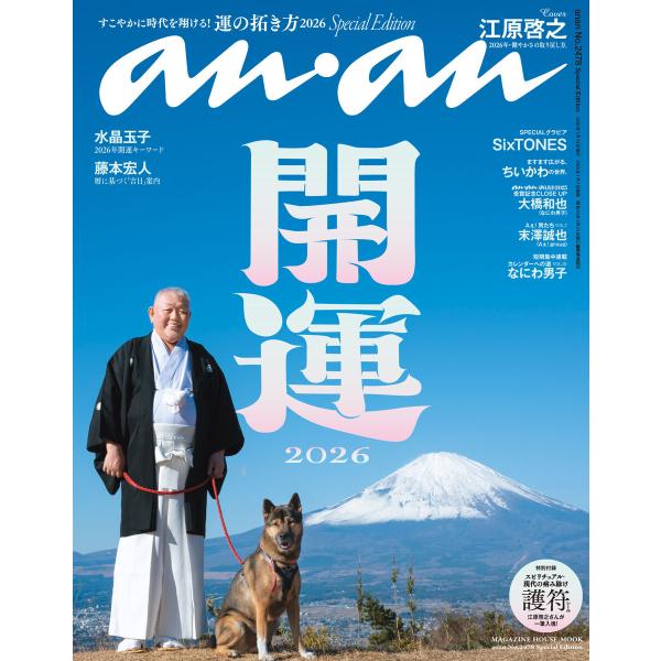 anan No.2478 Special Edition 電子書籍版 / anan編集部