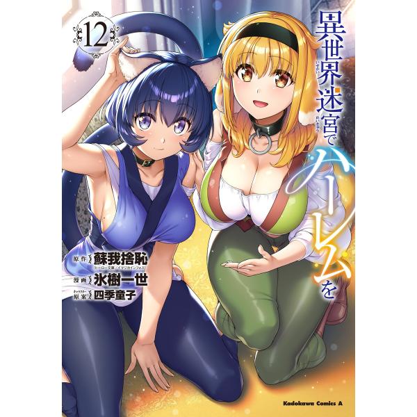 異世界迷宮でハーレムを(12) 電子書籍版 / 漫画:氷樹一世 原作:蘇我捨恥(ヒーロー文庫/イマジ...