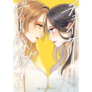 小説 チェイサーゲームW3巻 電子書籍版 / 保坂星耀/松山洋