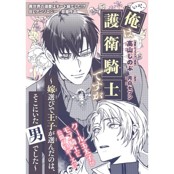 いや、俺は護衛騎士ですが 〜嫁選びで王子が選んだのは、そこにいた男でした〜 電子書籍版 / 高山しの...
