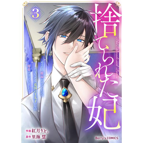 捨てられた妃 めでたく離縁が成立したので出ていったら、竜国の王太子からの溺愛が待っていました3巻 電...