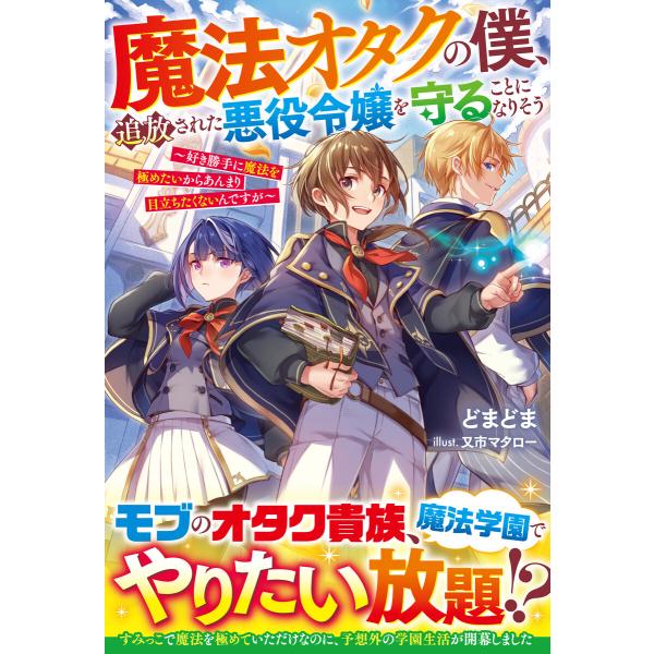 魔法オタクの僕、追放された悪役令嬢を守ることになりそう〜好き勝手に魔法を極めたいからあんまり目立ちた...