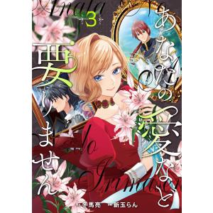 あなたの愛など要りません3 電子書籍版 / 漫画:新玉らん 原作:冬馬亮