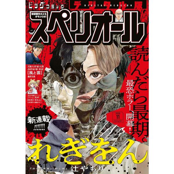 ビッグコミックスペリオール 2026年11号(2026年5月8日発売) 電子書籍版 / ビッグコミッ...