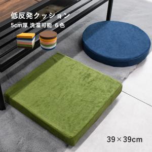 トゥルースリーパー（True Sleeper） 低反発座布団 FN005940 【正規品