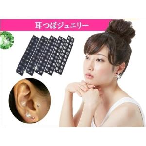 耳つぼ教科書 70以上の耳つぼ図及び、耳つぼに関する知識がこれ1冊で学べます