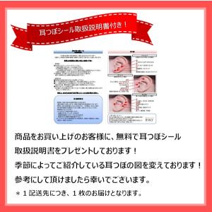 耳つぼジュエリー チタン10粒/クリスタル/サ...の詳細画像3