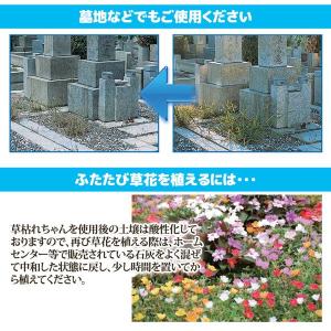 草枯れちゃん 5kg 完全無農薬 除草材 非農...の詳細画像3