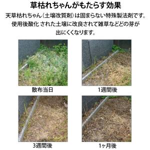 草枯れちゃん 5kg 完全無農薬 除草材 非農...の詳細画像4