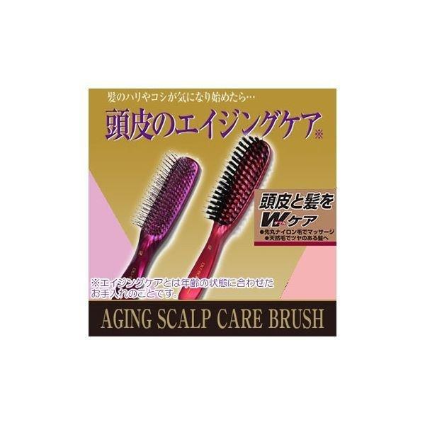4970270001464 【6個入】エイジング スカルプケア ヘアケアブラシ TC1300 269...