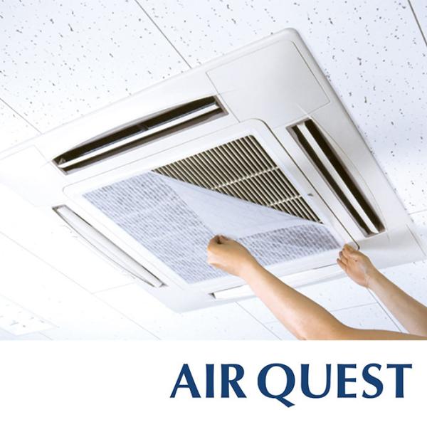 DAIAN エアークエストEX57 店舗・オフィス向け 2枚入り