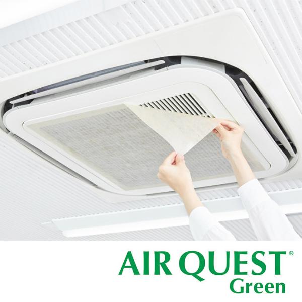 DAIAN エアークエストグリーン57 店舗・オフィス向け 2枚入り