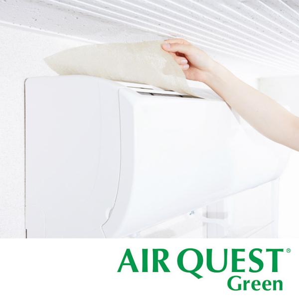 DAIAN エアークエストグリーン38 家庭向け 2枚入り