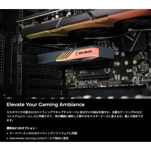 AVerMedia TECHNOLOGIES ...の詳細画像4