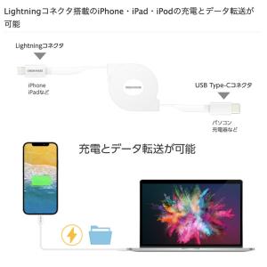 GreenHouse 巻き取り式 USB-C ...の詳細画像2