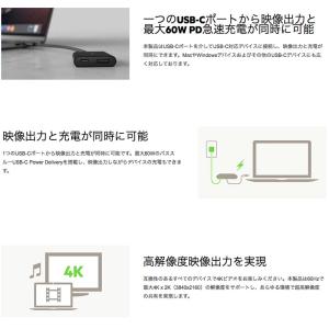 BELKIN ベルキン USB-C to HD...の詳細画像3