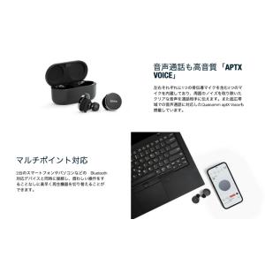 DENON PerL Pro True Wir...の詳細画像4