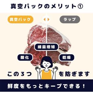 ELOD イーエルオーディー Suseal 真...の詳細画像2