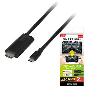 GreenHouse グリーンハウス USB T...の商品画像