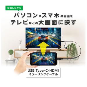 GreenHouse グリーンハウス USB ...の詳細画像1