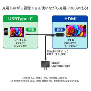 GreenHouse グリーンハウス USB ...の詳細画像2