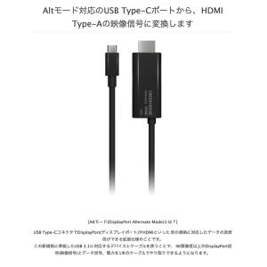 GreenHouse グリーンハウス USB ...の詳細画像3